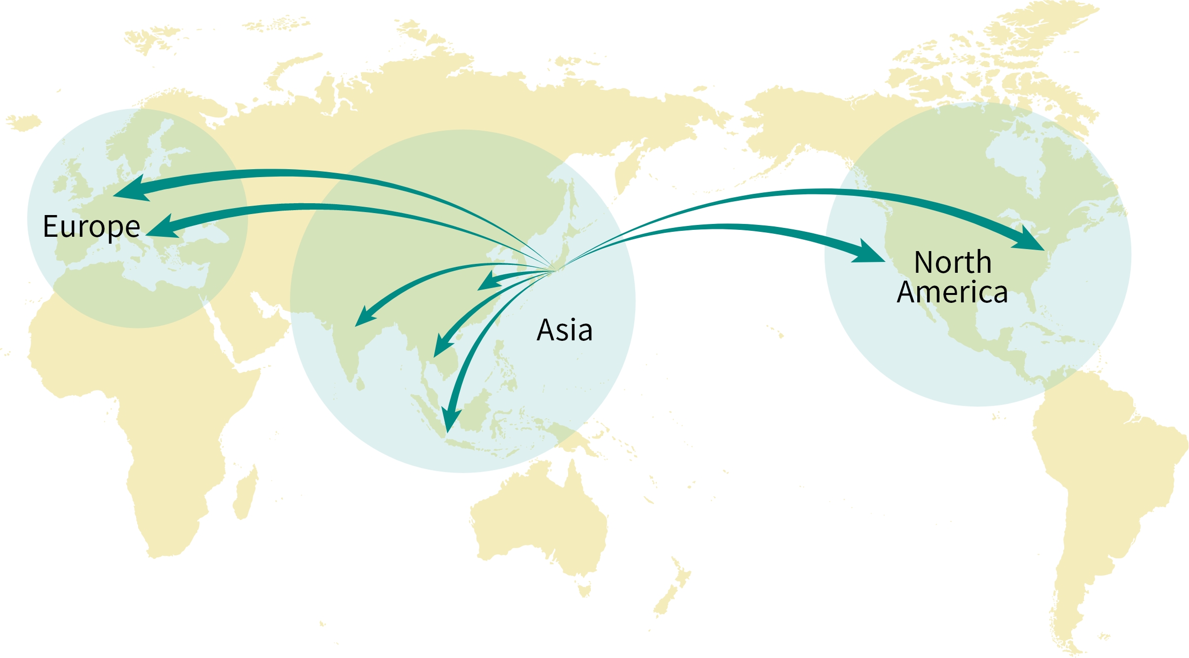 World map