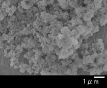 EP酸化ジルコニウム 顕微鏡写真02