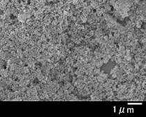 UEP酸化ジルコニウム 顕微鏡写真02